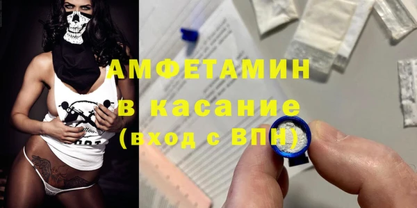 трава Карпинск