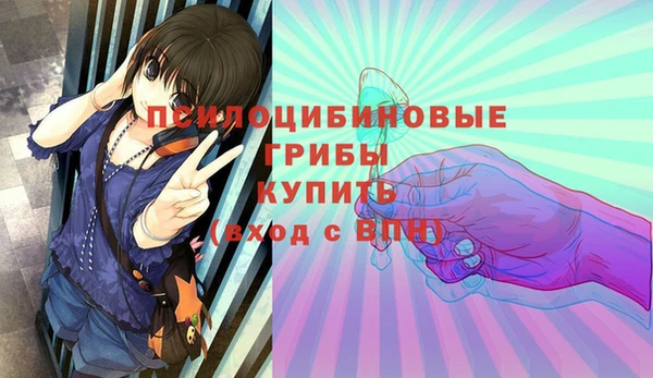 трава Карпинск