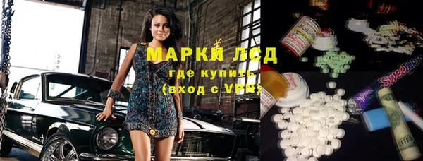 трава Карпинск