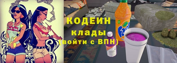 трава Карпинск