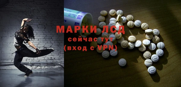 индика Каменногорск