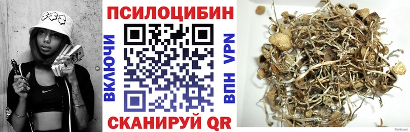 Галлюциногенные грибы Psilocybine cubensis  Мелеуз 