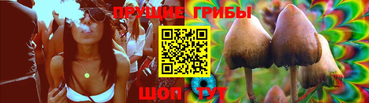 Мелеуз  закладки  Вход с VPN  Псилоцибиновые грибы MAGIC MUSHROOMS  Псилоцибиновые грибы GOLDEN TEACHER 